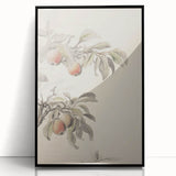Vintage Botanical Art Print: Peach Branch Illustration in Soft Tones