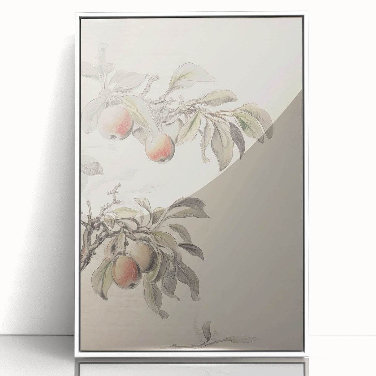 Vintage Botanical Art Print: Peach Branch Illustration in Soft Tones