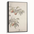 Vintage Botanical Art Print: Peach Branch Illustration in Soft Tones