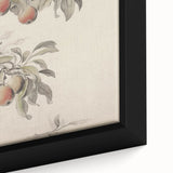 Vintage Botanical Art Print: Peach Branch Illustration in Soft Tones