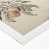 Vintage Botanical Art Print: Peach Branch Illustration in Soft Tones