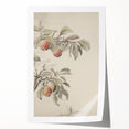 Vintage Botanical Art Print: Peach Branch Illustration in Soft Tones