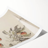 Vintage Botanical Art Print: Peach Branch Illustration in Soft Tones