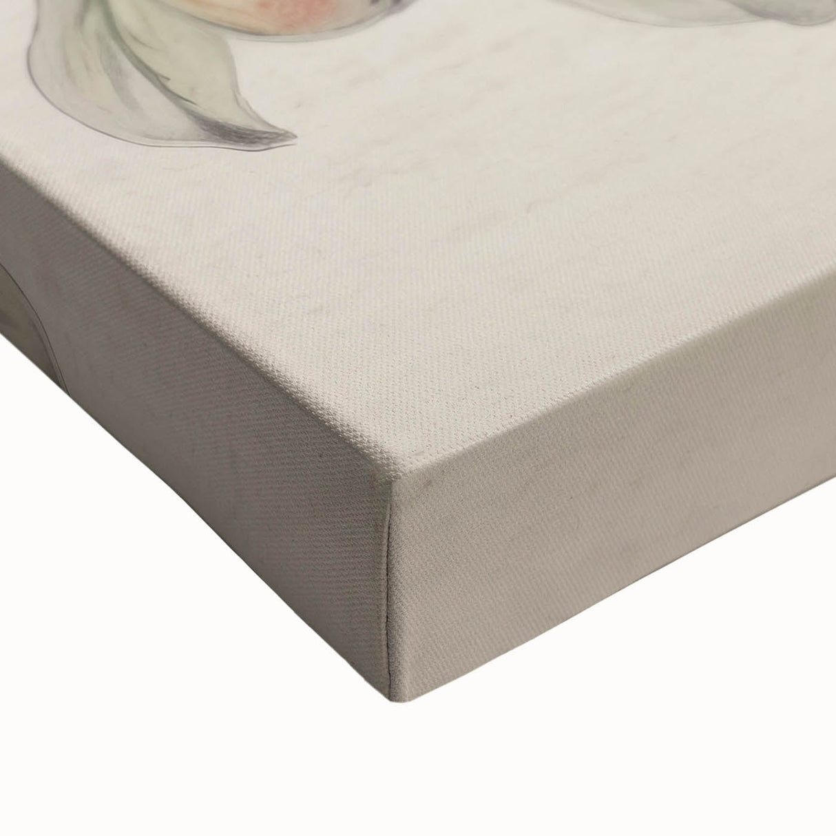 Vintage Botanical Art Print: Peach Branch Illustration in Soft Tones