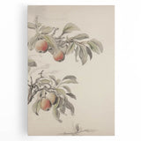 Vintage Botanical Art Print: Peach Branch Illustration in Soft Tones