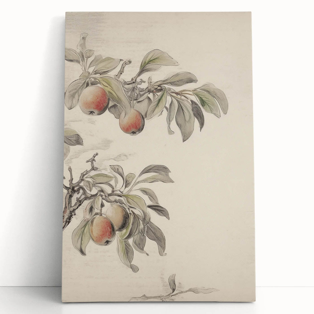 Vintage Botanical Art Print: Peach Branch Illustration in Soft Tones