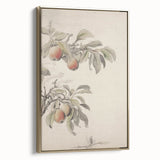 Vintage Botanical Art Print: Peach Branch Illustration in Soft Tones