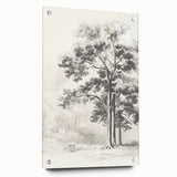 Vintage Botanical Art Print: Detailed Tree Sketch in Graphite Tones