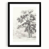Vintage Botanical Art Print: Detailed Tree Sketch in Graphite Tones
