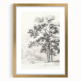 Vintage Botanical Art Print: Detailed Tree Sketch in Graphite Tones