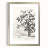 Vintage Botanical Art Print: Detailed Tree Sketch in Graphite Tones