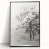 Vintage Botanical Art Print: Detailed Tree Sketch in Graphite Tones