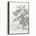 Vintage Botanical Art Print: Detailed Tree Sketch in Graphite Tones