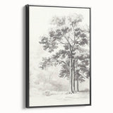 Vintage Botanical Art Print: Detailed Tree Sketch in Graphite Tones