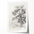 Vintage Botanical Art Print: Detailed Tree Sketch in Graphite Tones