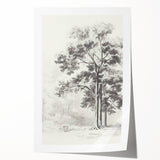 Vintage Botanical Art Print: Detailed Tree Sketch in Graphite Tones