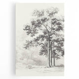 Vintage Botanical Art Print: Detailed Tree Sketch in Graphite Tones