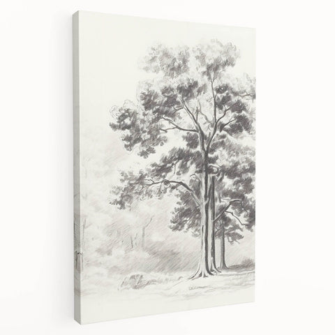 Vintage Botanical Art Print: Detailed Tree Sketch in Graphite Tones