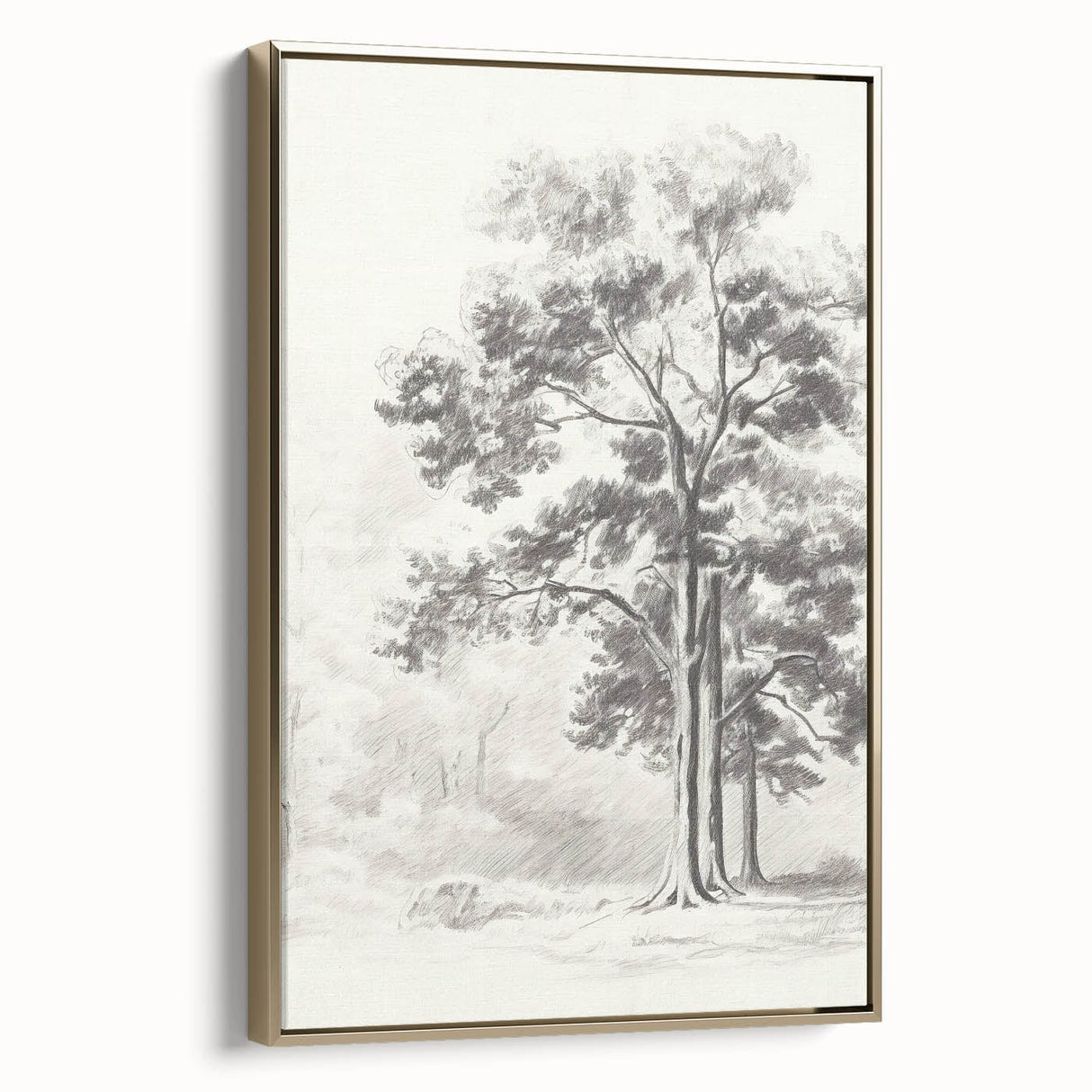 Vintage Botanical Art Print: Detailed Tree Sketch in Graphite Tones