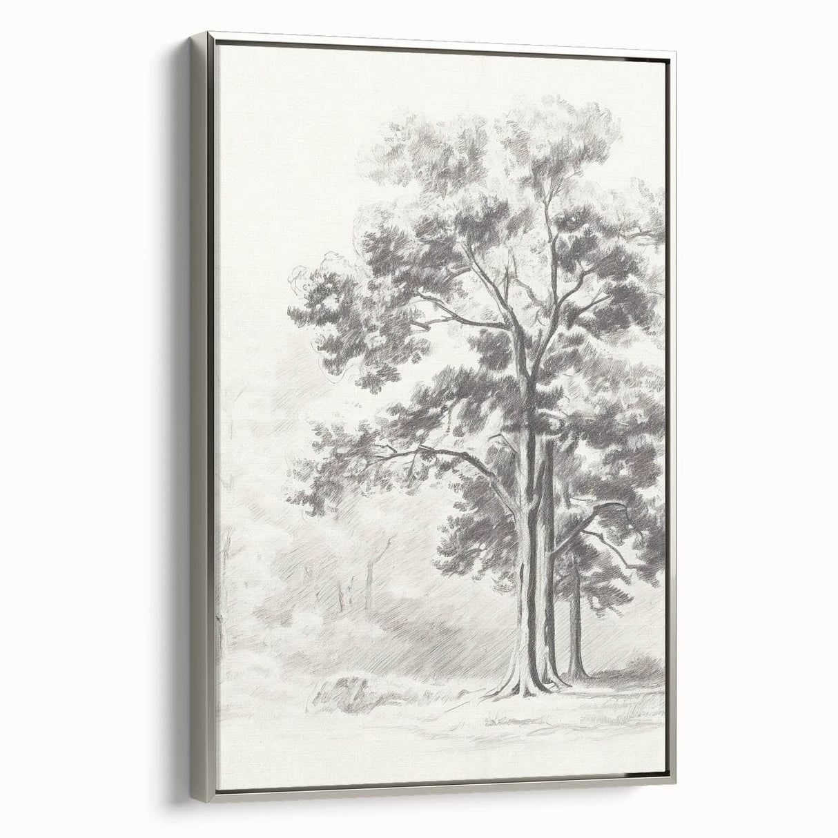 Vintage Botanical Art Print: Detailed Tree Sketch in Graphite Tones