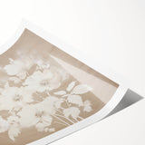 Vintage Botanical Art Print - Soft White Flowers – Framed