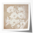 Vintage Botanical Art Print - Soft White Flowers – Framed