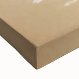 Vintage Botanical Art Print - Elegant White Flowers on Beige – Framed