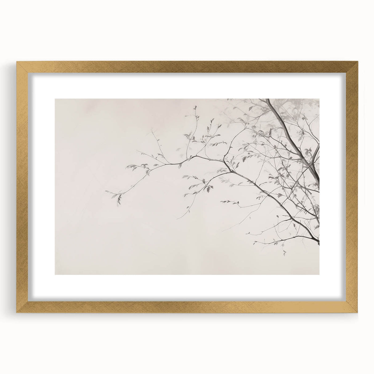Minimalist Botanical Wall Art – Vintage Monochrome Print