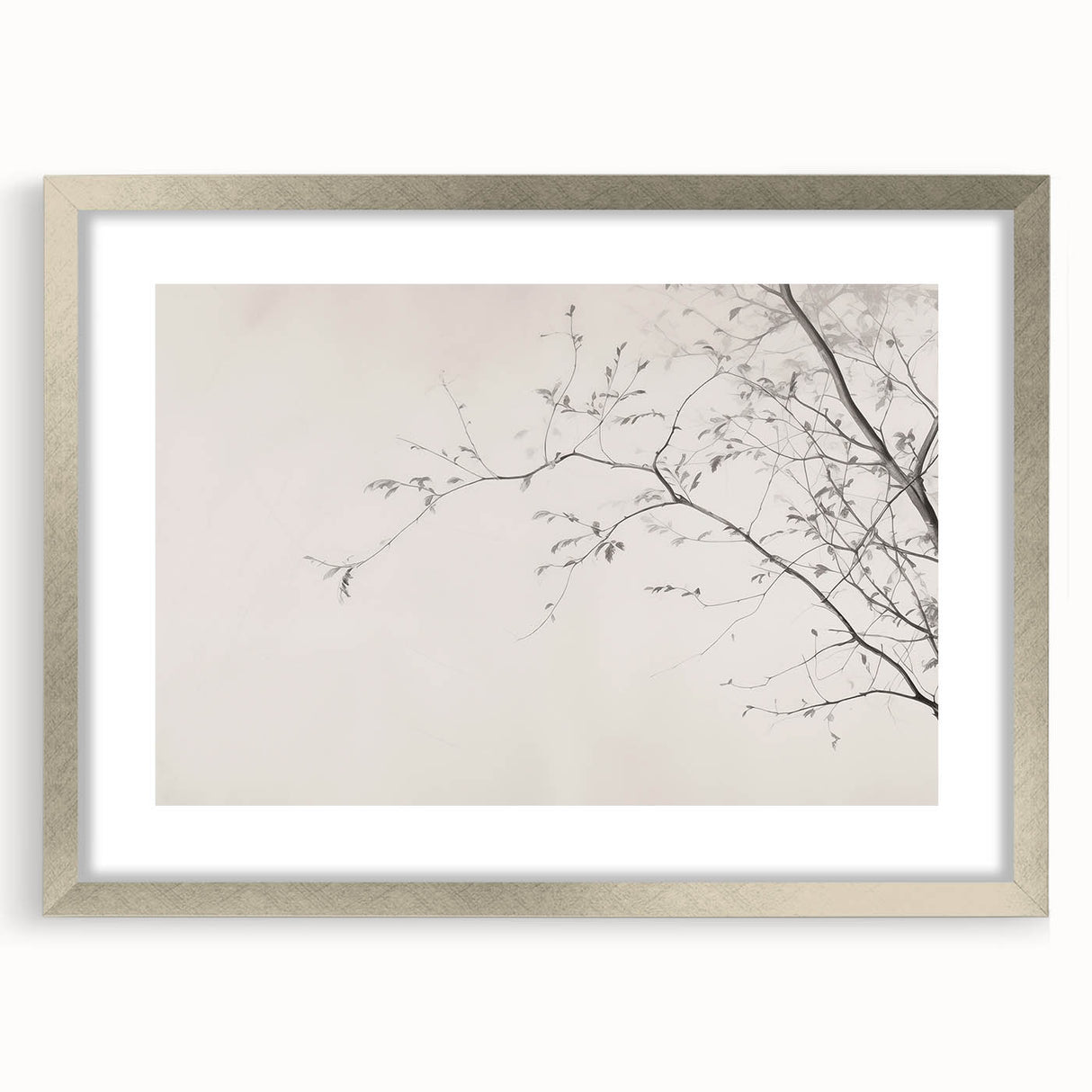 Minimalist Botanical Wall Art – Vintage Monochrome Print