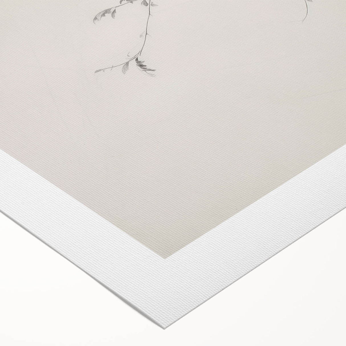 Minimalist Botanical Wall Art – Vintage Monochrome Print