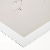 Minimalist Botanical Wall Art – Vintage Monochrome Print