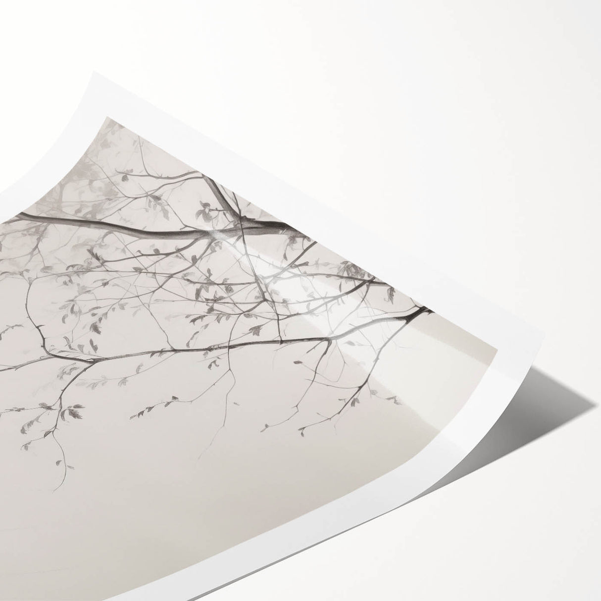 Minimalist Botanical Wall Art – Vintage Monochrome Print