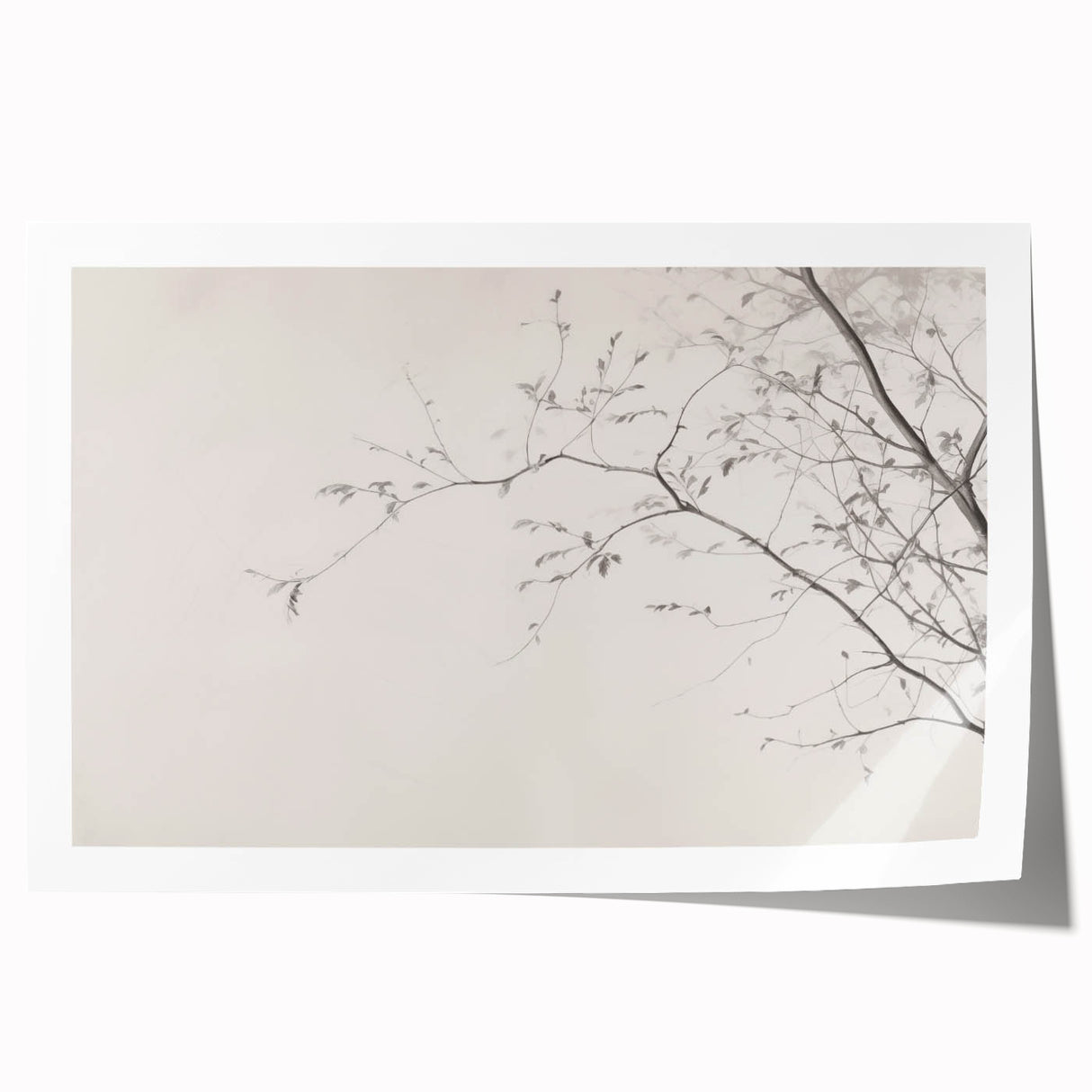 Minimalist Botanical Wall Art – Vintage Monochrome Print