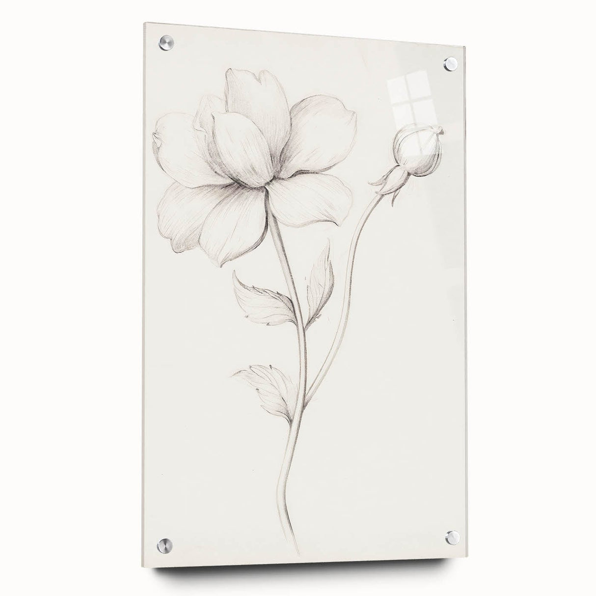 Vintage Botanical Art Prints - Antique Floral Illustration