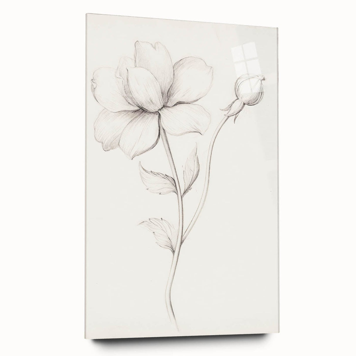Vintage Botanical Art Prints - Antique Floral Illustration
