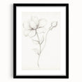Vintage Botanical Art Prints - Antique Floral Illustration