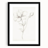 Vintage Botanical Art Prints - Antique Floral Illustration