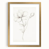 Vintage Botanical Art Prints - Antique Floral Illustration
