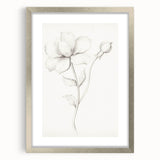 Vintage Botanical Art Prints - Antique Floral Illustration