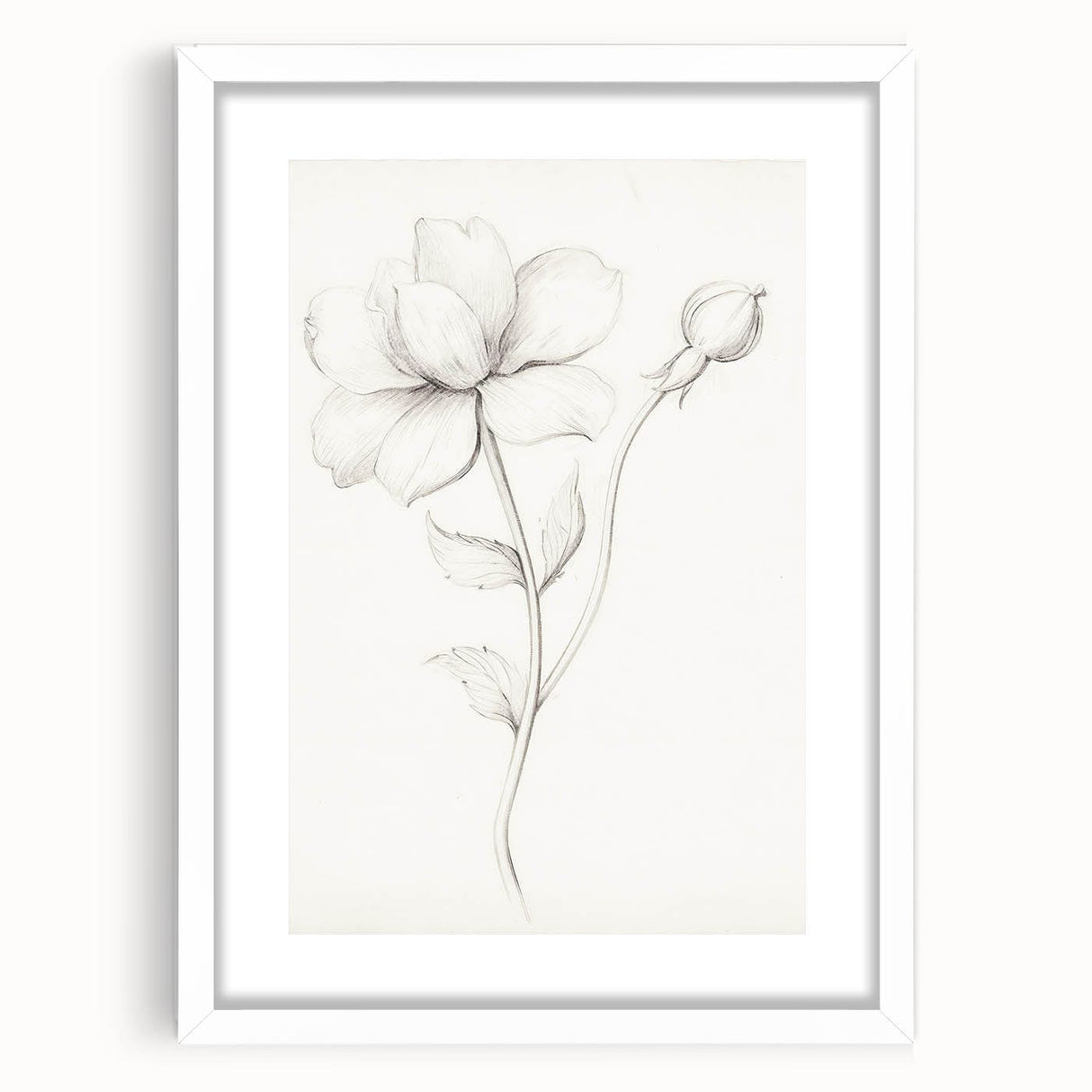 Vintage Botanical Art Prints - Antique Floral Illustration