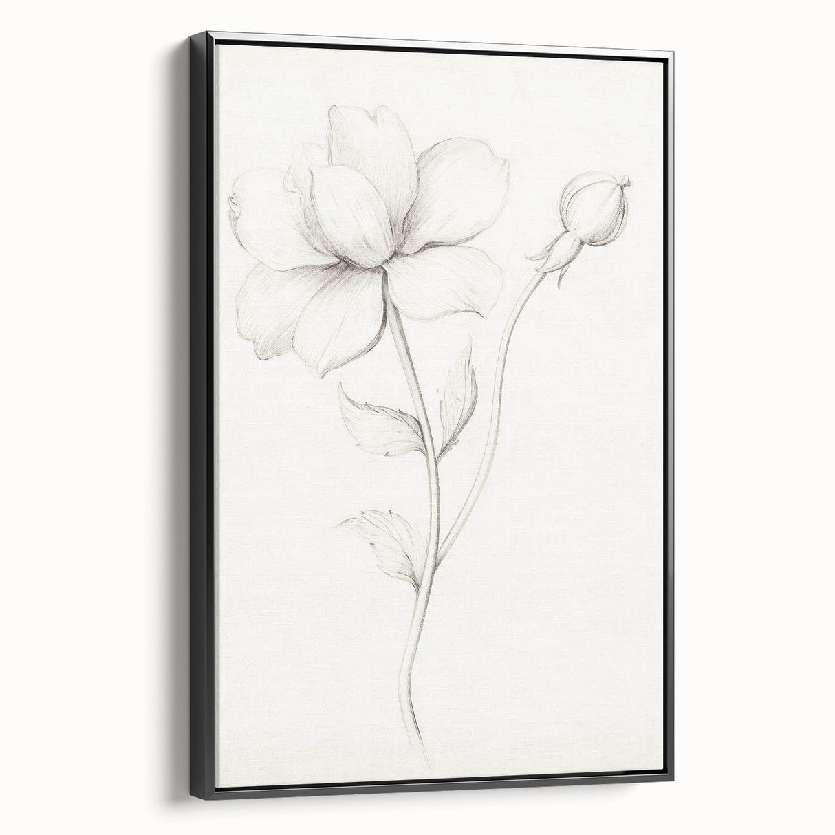 Vintage Botanical Art Prints - Antique Floral Illustration