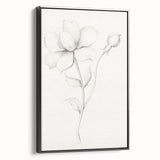Vintage Botanical Art Prints - Antique Floral Illustration