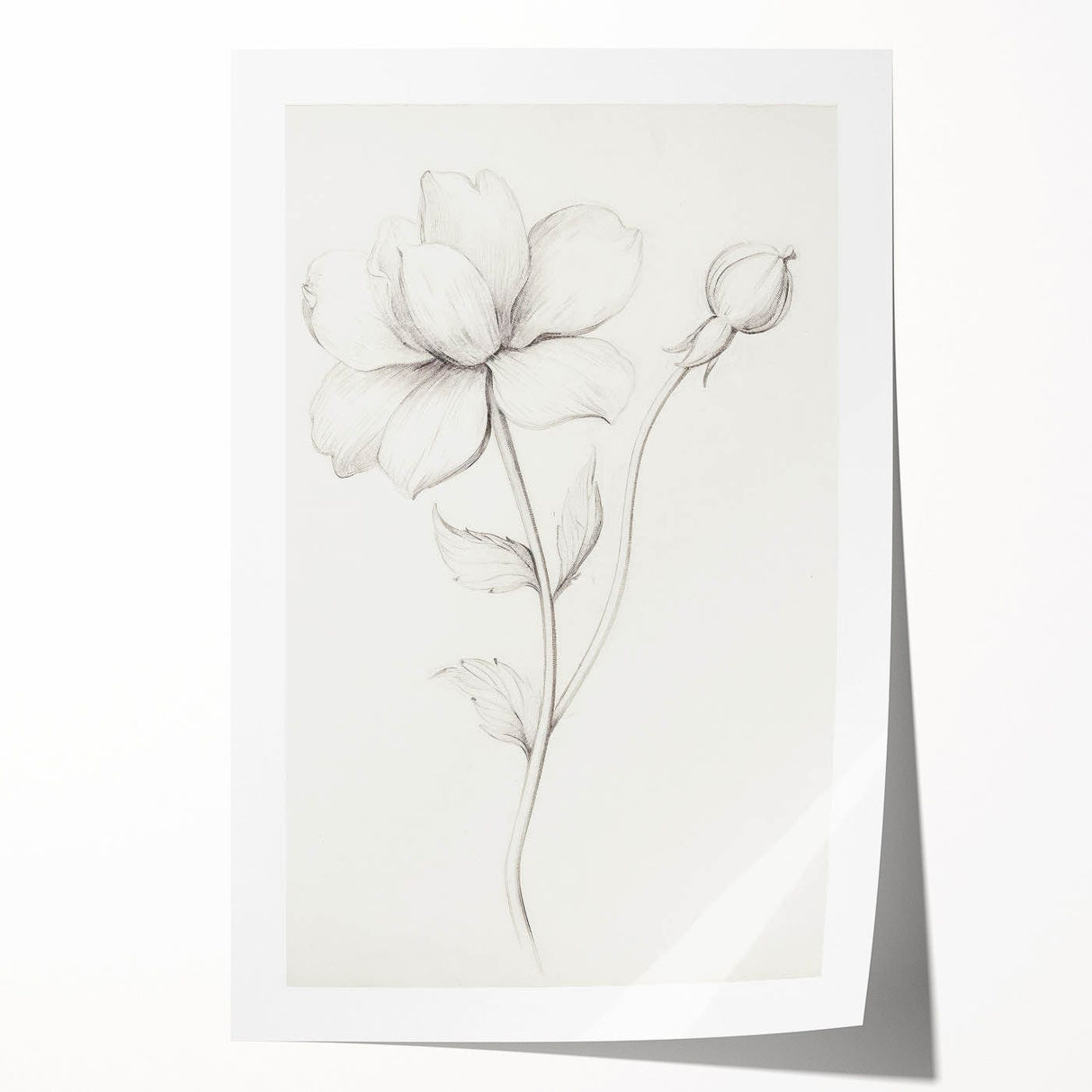 Vintage Botanical Art Prints - Antique Floral Illustration
