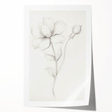 Vintage Botanical Art Prints - Antique Floral Illustration