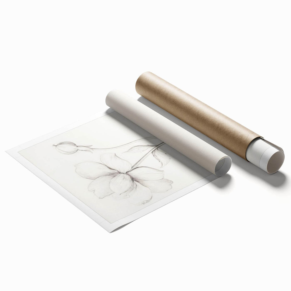 Vintage Botanical Art Prints - Antique Floral Illustration
