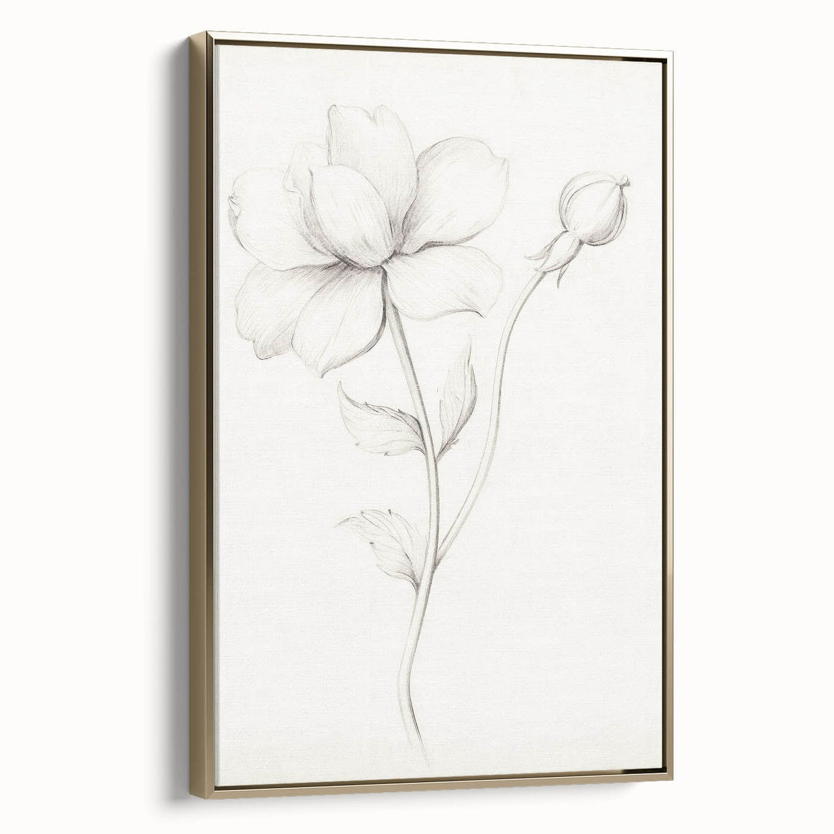 Vintage Botanical Art Prints - Antique Floral Illustration