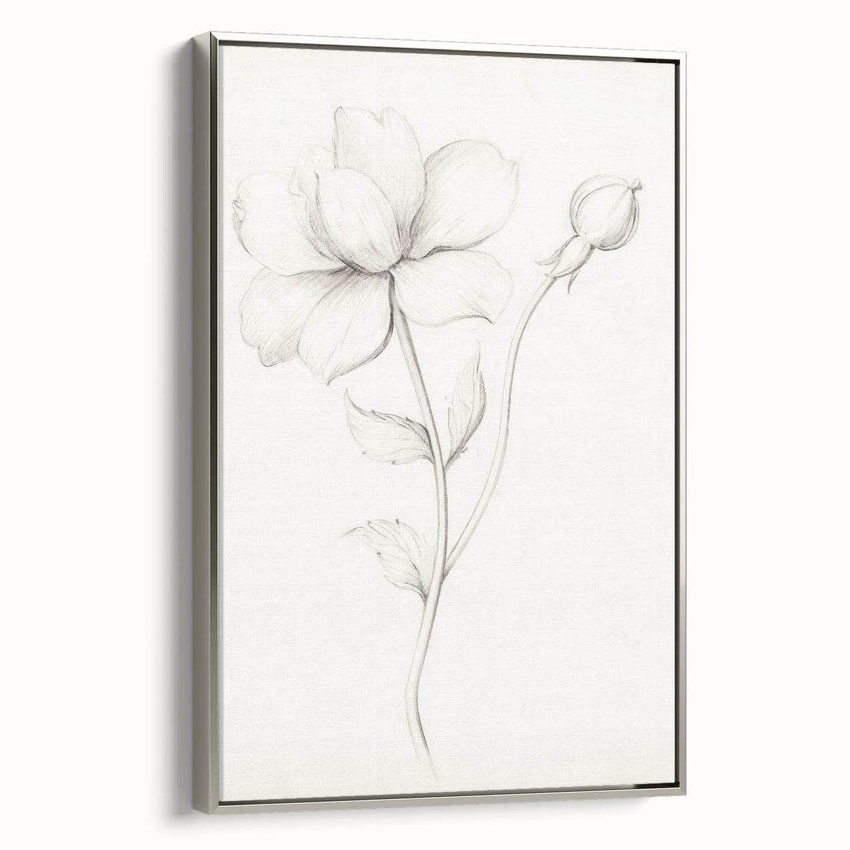 Vintage Botanical Art Prints - Antique Floral Illustration