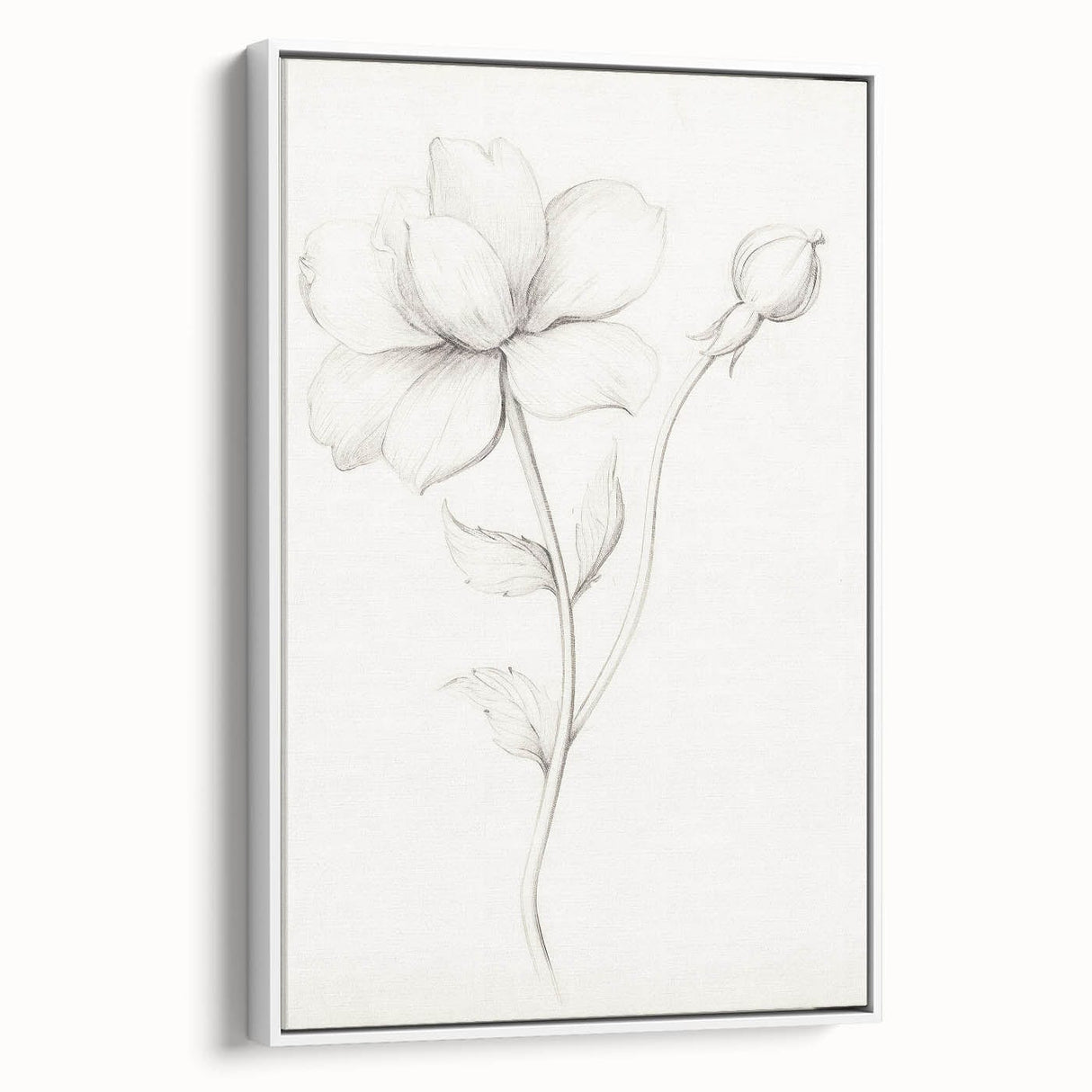 Vintage Botanical Art Prints - Antique Floral Illustration