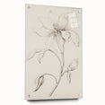 Vintage Botanical Art Prints - Antique Floral Illustration