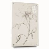Vintage Botanical Art Prints - Antique Floral Illustration